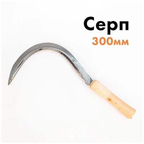 ���� ���� ������� 300�� � ���������� ������, ������ �� 529 ���