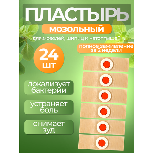 ���� �������� ��������� �������� ��������� ��� ������������ �������, ���������� � ��������� �� ����� - 24 �����, ������ �� 353 ���