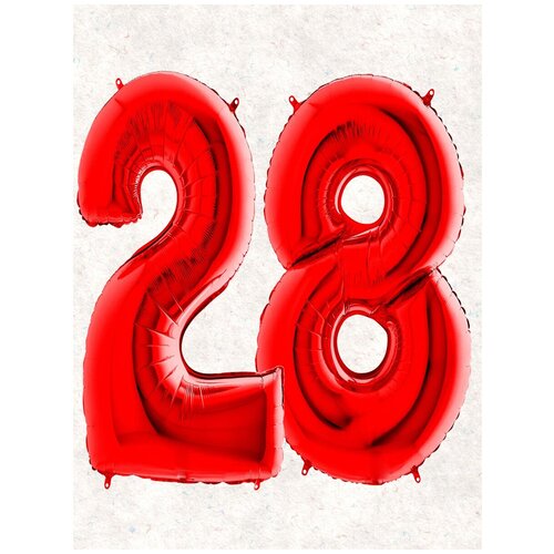 ���� ����� �����: ����� 28 ���, 100 ��, ������ �� 398 ���