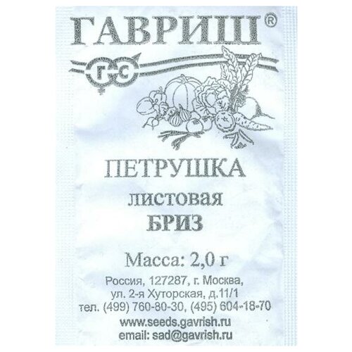 ���� ������. �������� �������� 