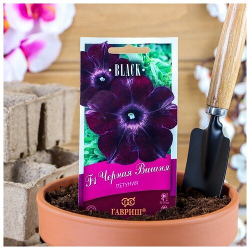      F1  4  38 () ,   146 