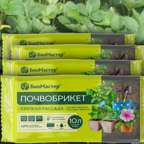 ���� 40� ����������� ������� ������� 10 �. � 4�� ����� ��� ����������� �������, ������ �� 1099 ���