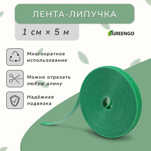      , 5 , , Greengo   -     , -, 