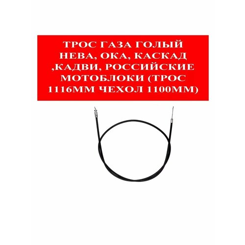 ���� ���� ���� �� ������/���� �����, ������ �� 555 ���