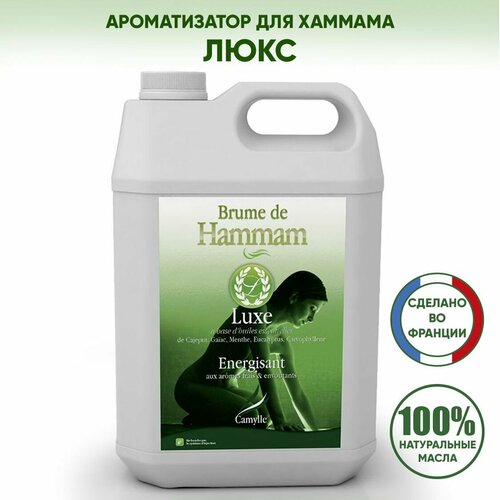 ���� ������������ ��� ������/������� ���� CAMYLLE (�������), 5 ������, ������ �� 24481 ���