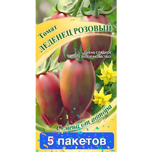 ���� ������ ������ ������ 