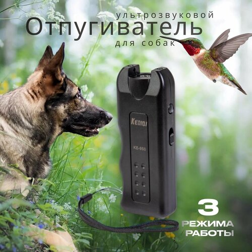 ���� �������������� ������������ GrekAri ��� �����, ������ �� 450 ���