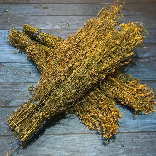 ���� ����� ��� ���� 