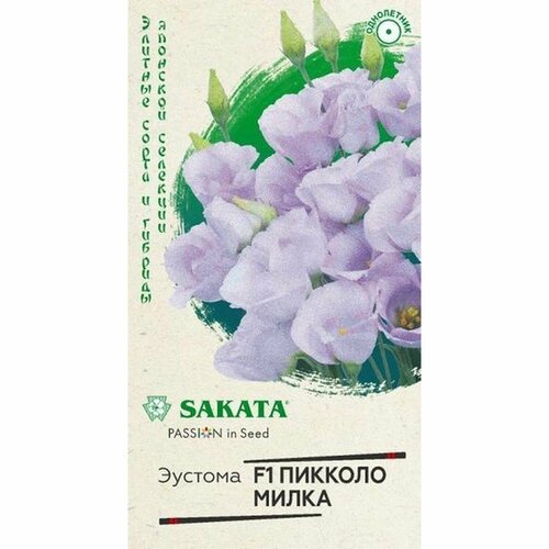 ���� ������ ������� ������� ����� F1, ����������, (������) 5�� ������. ��������, ������ �19, ������ �� 97 ���