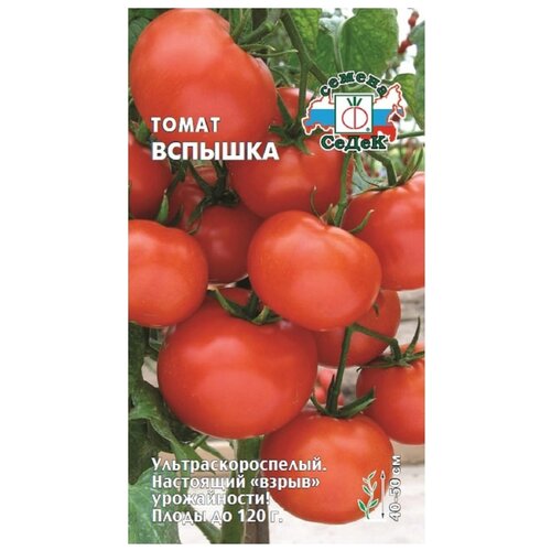 ���� ������ ����� ����� �������, ������ �� 43 ���