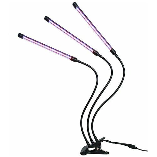 ���� ��������� ��� �������� (��������� ��� �������) � �������� ����������/ �������������� � 3-�� ������� �������� �� 10 ��, 3 ������ �����, ������ �� 937 ���