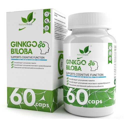   NaturalSupp Ginkgo Biloba, 60 .   -     , -, 