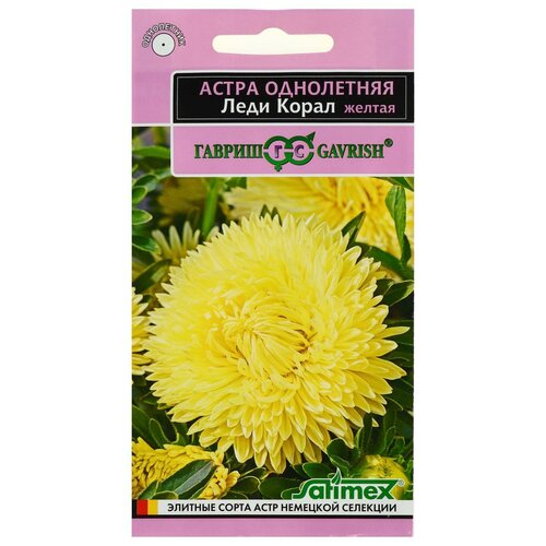 ���� ������ ������ ����� 