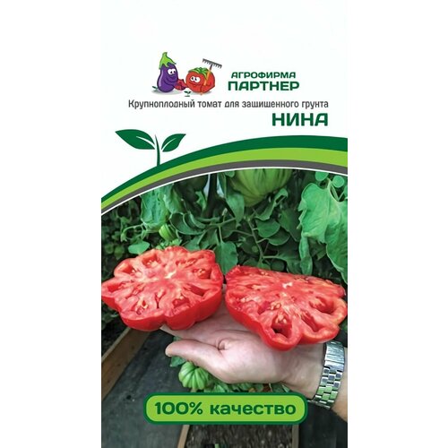 ���� ������ ������ ��������� ������� 