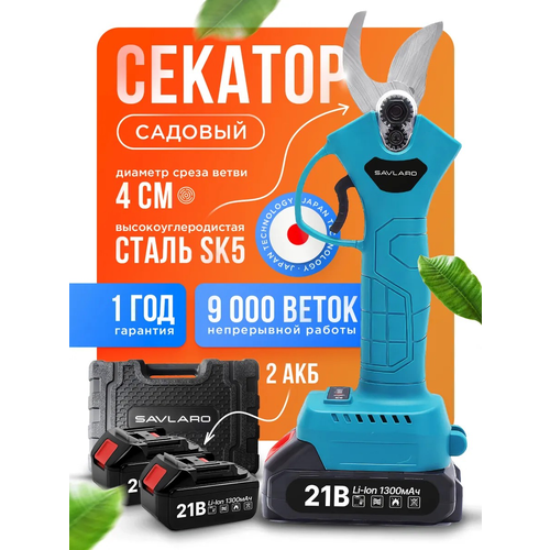 ���� ������� �������������� Savlaro, ������� �������� ��������������, �������������� ������� �������, �������, 2 ���, ������ �� 4999 ���