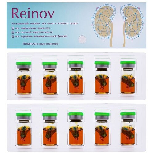 ���� Reinov Kaps�ila (������ ��������) - �������� ��� ����� � �������� ������, 10 ������. ��� �������� ���������������, ������������ �������. ������-���., ������ �� 1510 ���