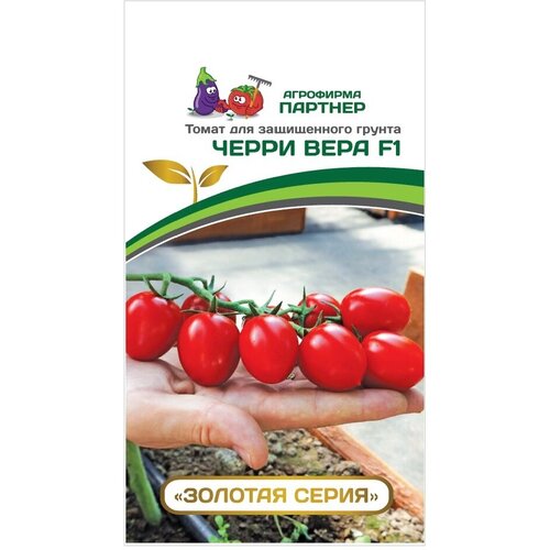 ���� ������ ����� ����� ���� F1 /��������� �������/ 1 ��������, 5 �����, ������ �� 453 ���