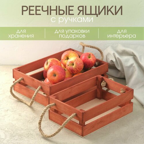 ���� �����: ����� 2� �������� � �������/ ������� ��� �������� / ����� ����������, ������ �� 650 ���