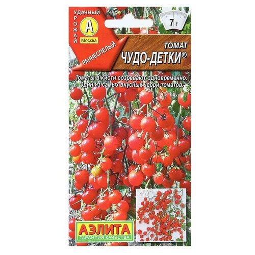 ���� ������. ����� 