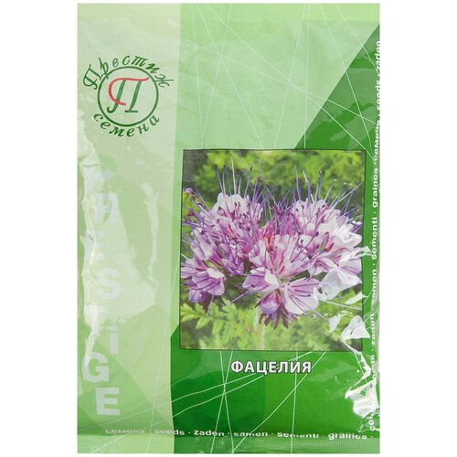 ���� ������� 500 �, ������ �� 570 ���