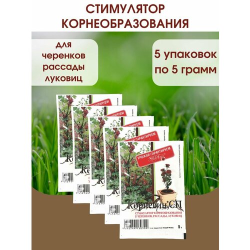 ���� �������� ���������� ����������� � ����� ������, �������� - 5 ��, 5 ��������, ������ �� 247 ���