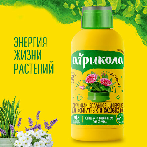 ���� ��������� ��� ��� �������� 