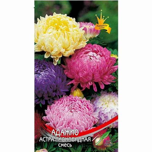 ���� ������ ����� ������ ����������� ����� 92�� ��� ����, ����, �������, ������� / ������� � �������� ��������, ������ �� 299 ���