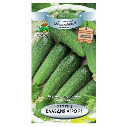 ���� ������ ����� ������ ������� ���� F1 12 ��., ������ �� 111 ���