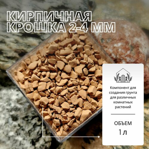 ���� ��������� ������ 2-4�� - 1� / ������ ��� ��������, �����������, ������ �� 343 ���