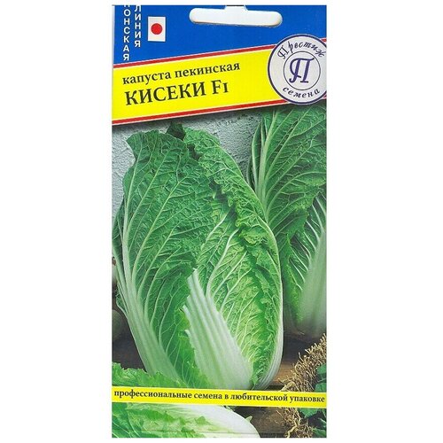 ���� ������� ������� ��������� 