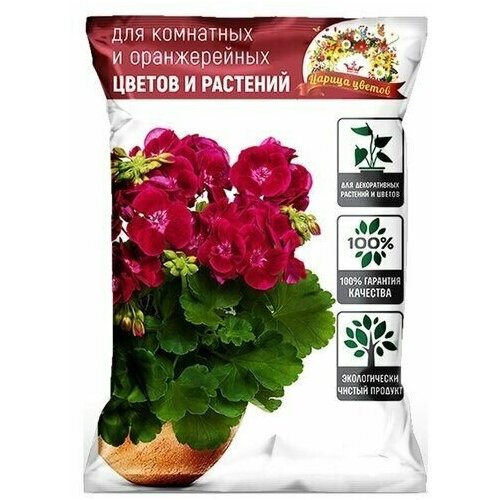 ���� ����� �/������ 2,5� ��������� � ������������ ������ ������., ������ �� 200 ���