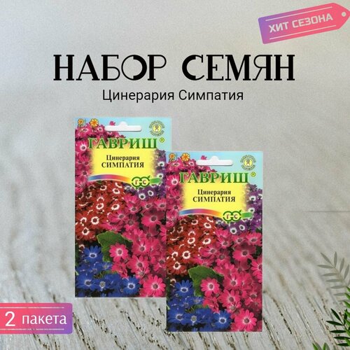 ���� ����� ��������� ��������, ����� 2 ������ �� 8�� �����, ������ �� 320 ���