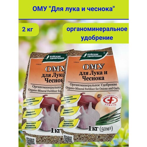 ���� 2�� ��� ��� ����, ������ 1�� -2�� ����������� ����������������� ���������, ������ �� 573 ���