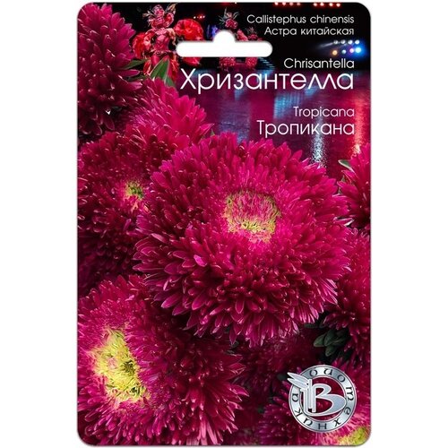 ���� ������ ����� ��������� ����������� ��������� (30 �����), ������ �� 229 ���