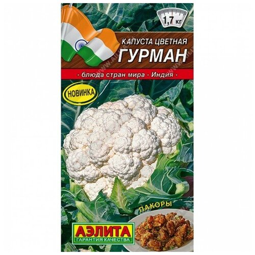 ���� ������. ������� ������� 