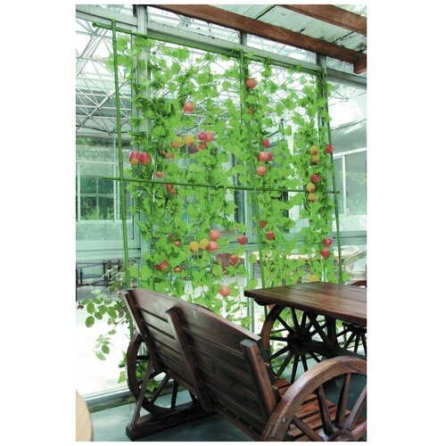 ���� ����� ��� ���������2.1�, ������ �� 2486 ���