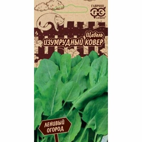 ���� ������ ������ ���������� �����, �����������, (������) 0,2� ������� ������ �20, ������ �� 49 ���