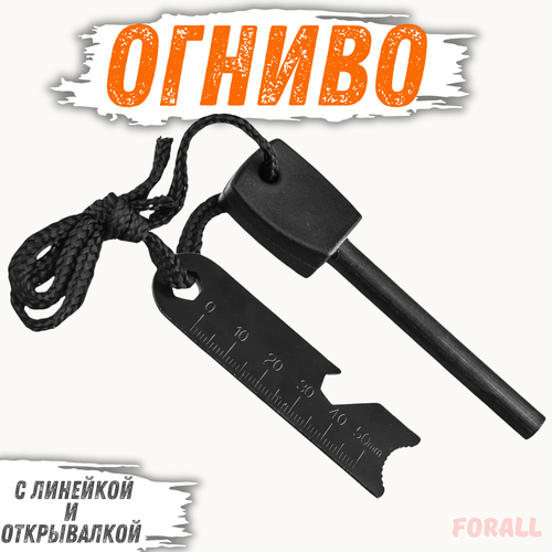 ���� ������ ������������� � �������� � ����������� | �������� ���������� ��� ���������� ���� � ����� ��������, ������ �� 338 ���