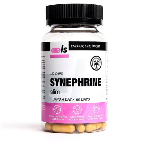 ���� ��������, 120 ������, ������ �� 565 ���