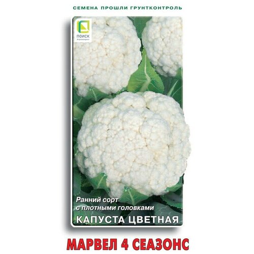 ���� ������ ������� ������� ������ 4 ������� 0,5 ��., ������ �� 104 ���