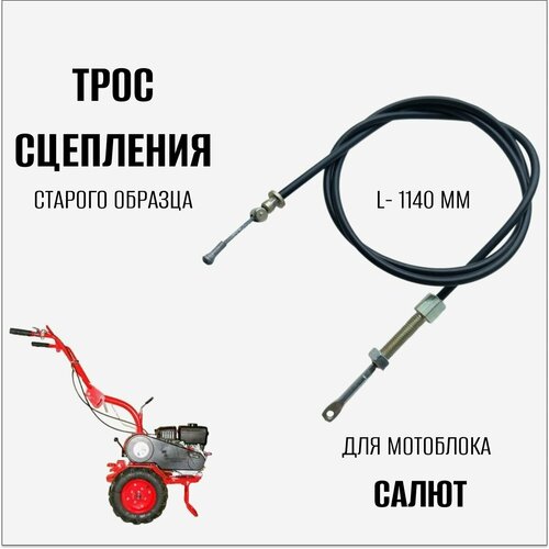 ���� ���� ��������� ��� ��������� 