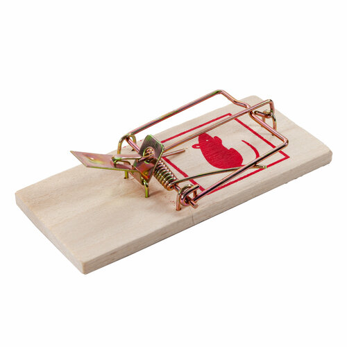    46  98 , Mr. Mouse,   237 