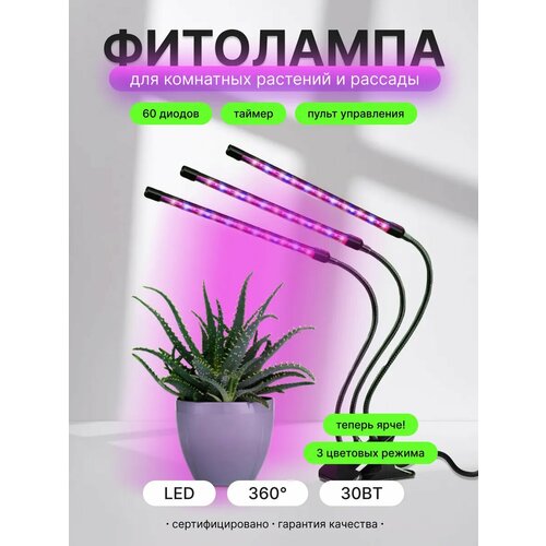    , 3 ,  , 3  10, 30,   ,    ,   950 