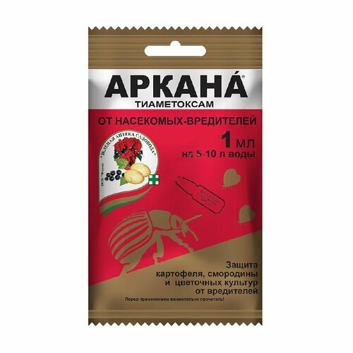 ���� ������ 1�� �� ��������� ����������, ������ �� 64 ���