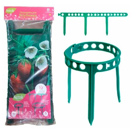 ���� ����� ��� �������� 