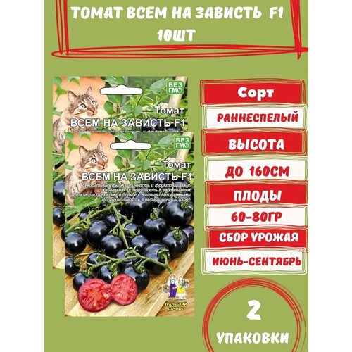 ���� ����� ���� �� ������� F1, 10 ����� 2 ��������, ������ �� 270 ���