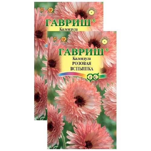 ���� ��������� ������� ������� (0,2 �), 2 ������, ������ �� 229 ���