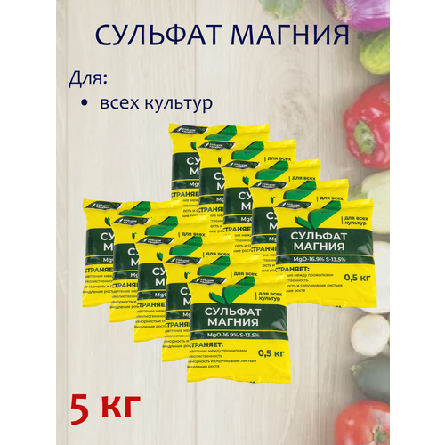 ���� 5�� ��������� ����������� ������� ������ 500� �10�� ������� ���������� �����, ������ �� 897 ���