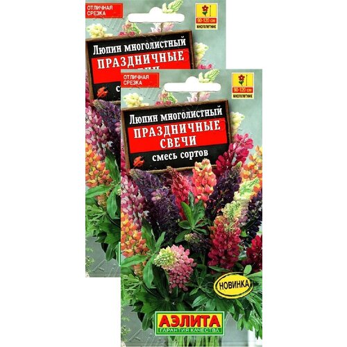 ���� ����� ����������� ����� ����� (15 �����), 2 ������, ������ �� 249 ���