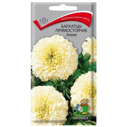 ���� ������ ��������� ����� ������ 1 �, ������ �� 115 ���